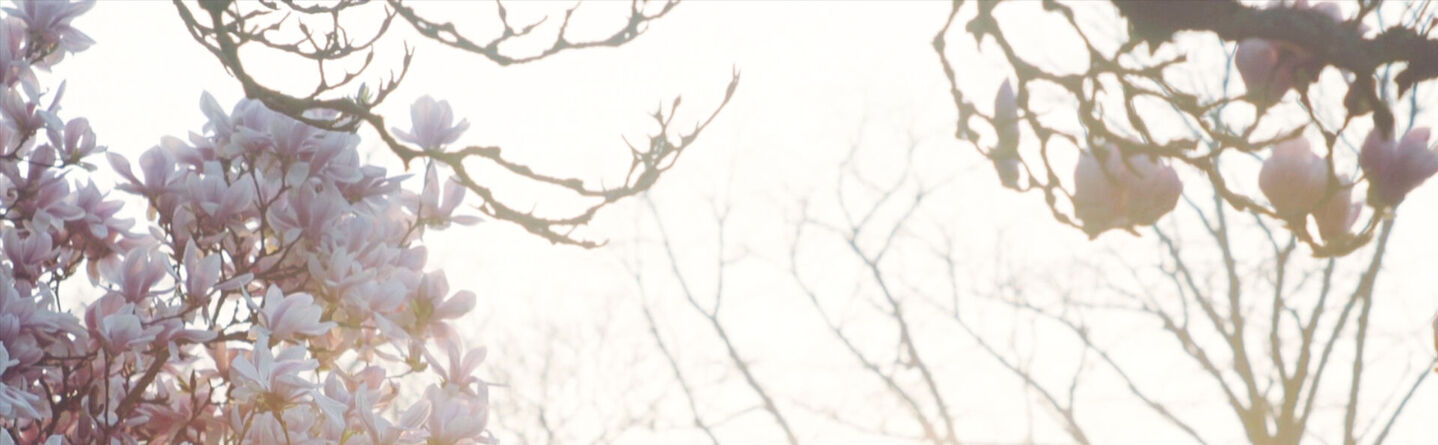 blog header